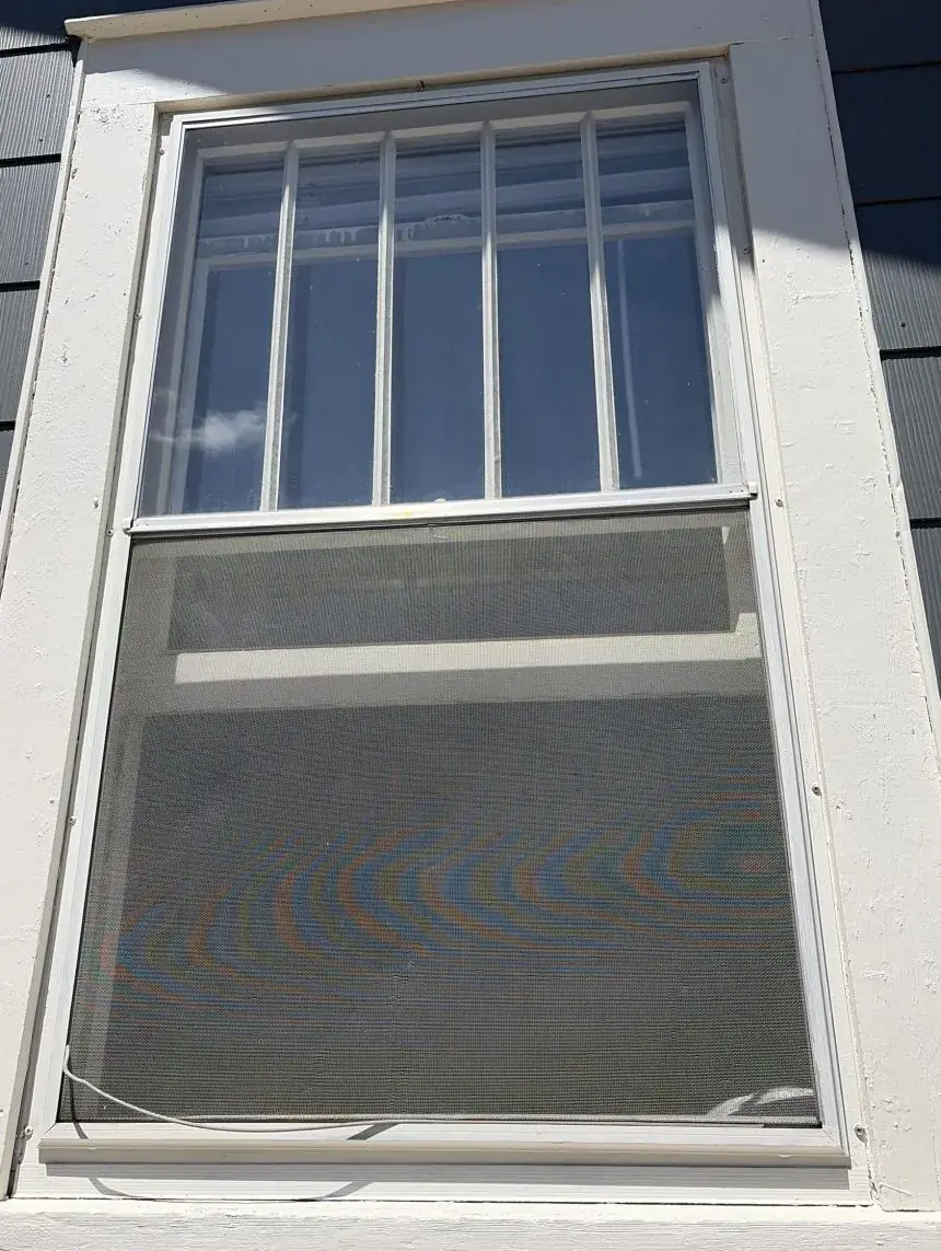 Window screen, dirty