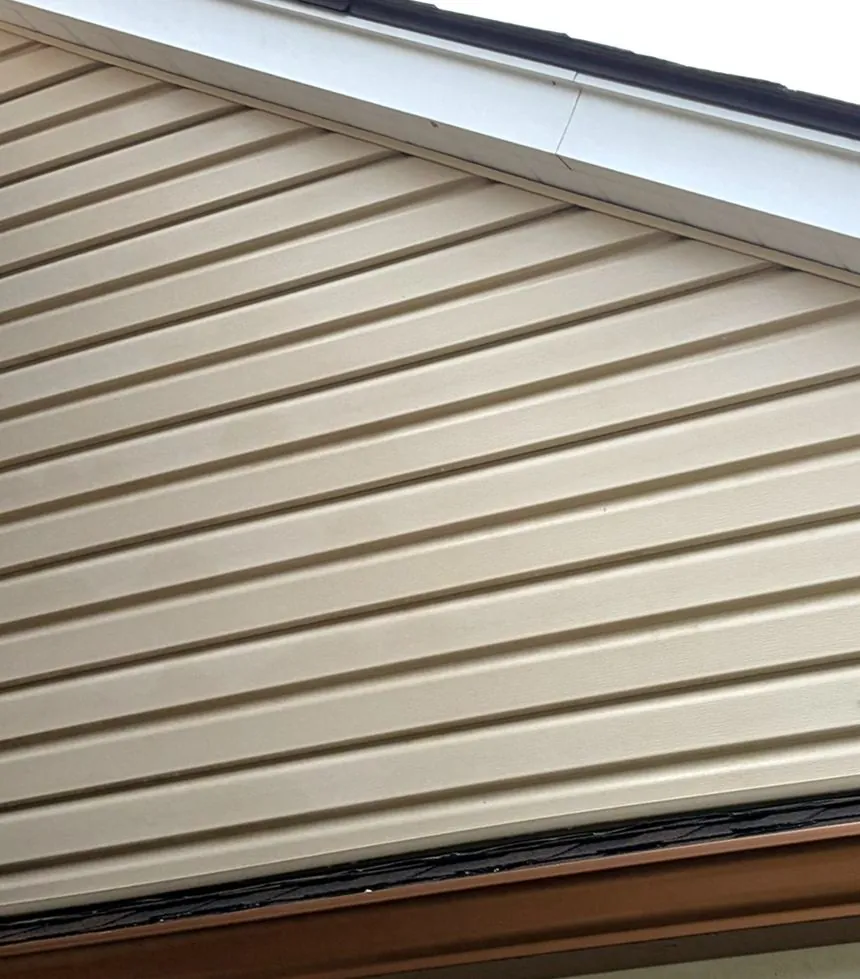 Vinyl siding soft wash, after