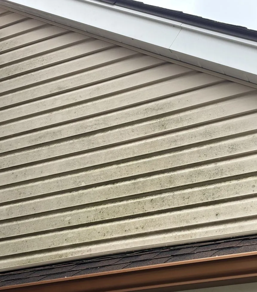 Vinyl siding soft wash, before